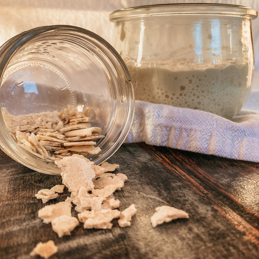 Re-Hydrating your Sourdough Starter