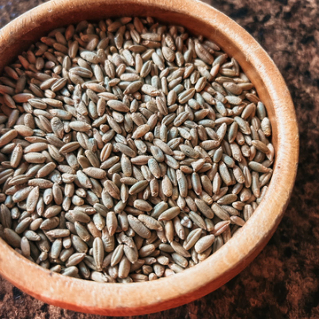 Living Sky Farm's Rye Berries in brown bowl