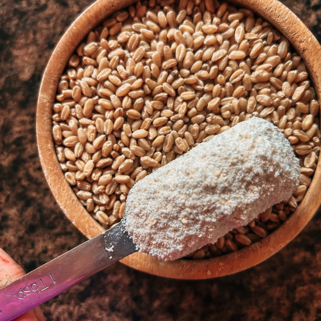 Living Sky Farm's Soft White Wheat Flour in brown bowl with measuring spoon