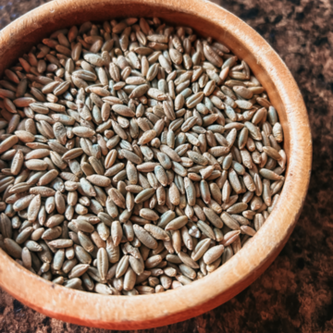 S Rye Rye – Living Sky Farms
