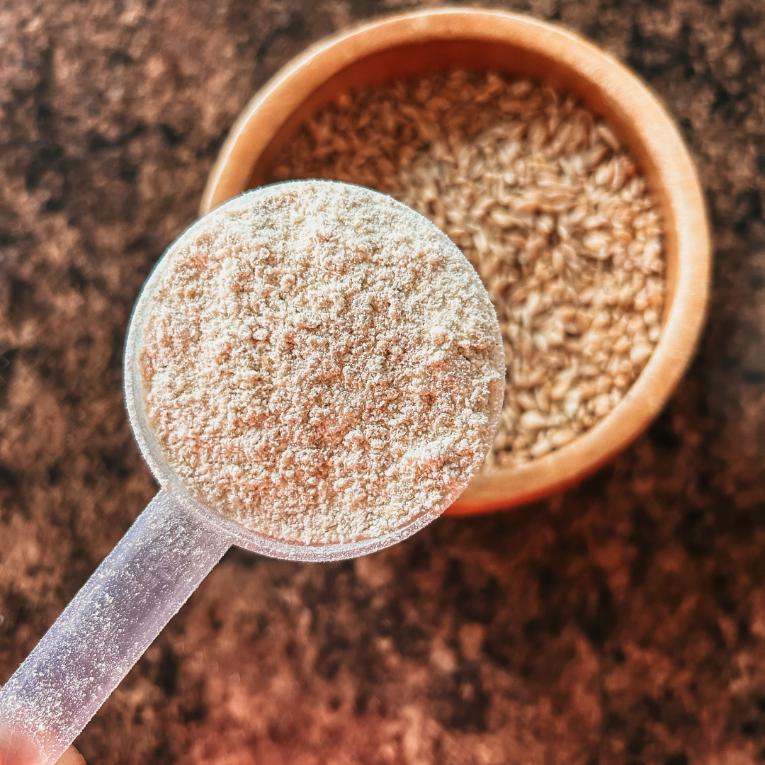 A spoonful of Fresh Milled Einkorn Flour in front of a bowl.