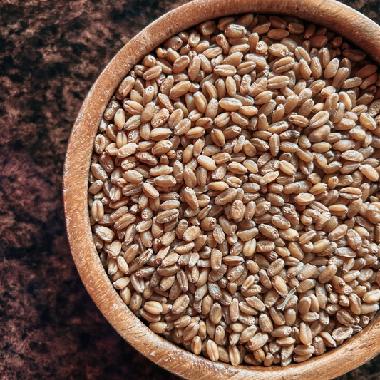 Living Sky Farm's Soft White Wheat Berries in brown bowl